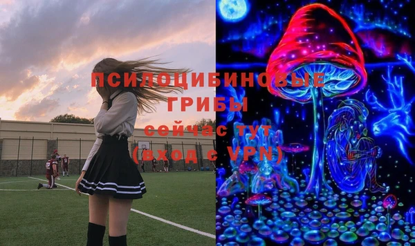 каннабис Белокуриха