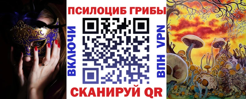 Псилоцибиновые грибы Magic Shrooms Волгореченск