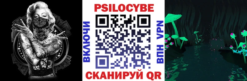 Псилоцибиновые грибы Psilocybe  где найти   Волгореченск 
